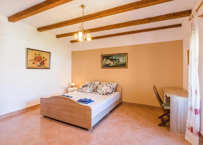 Mislav Bribir (Primorje-Gorski Kotar)